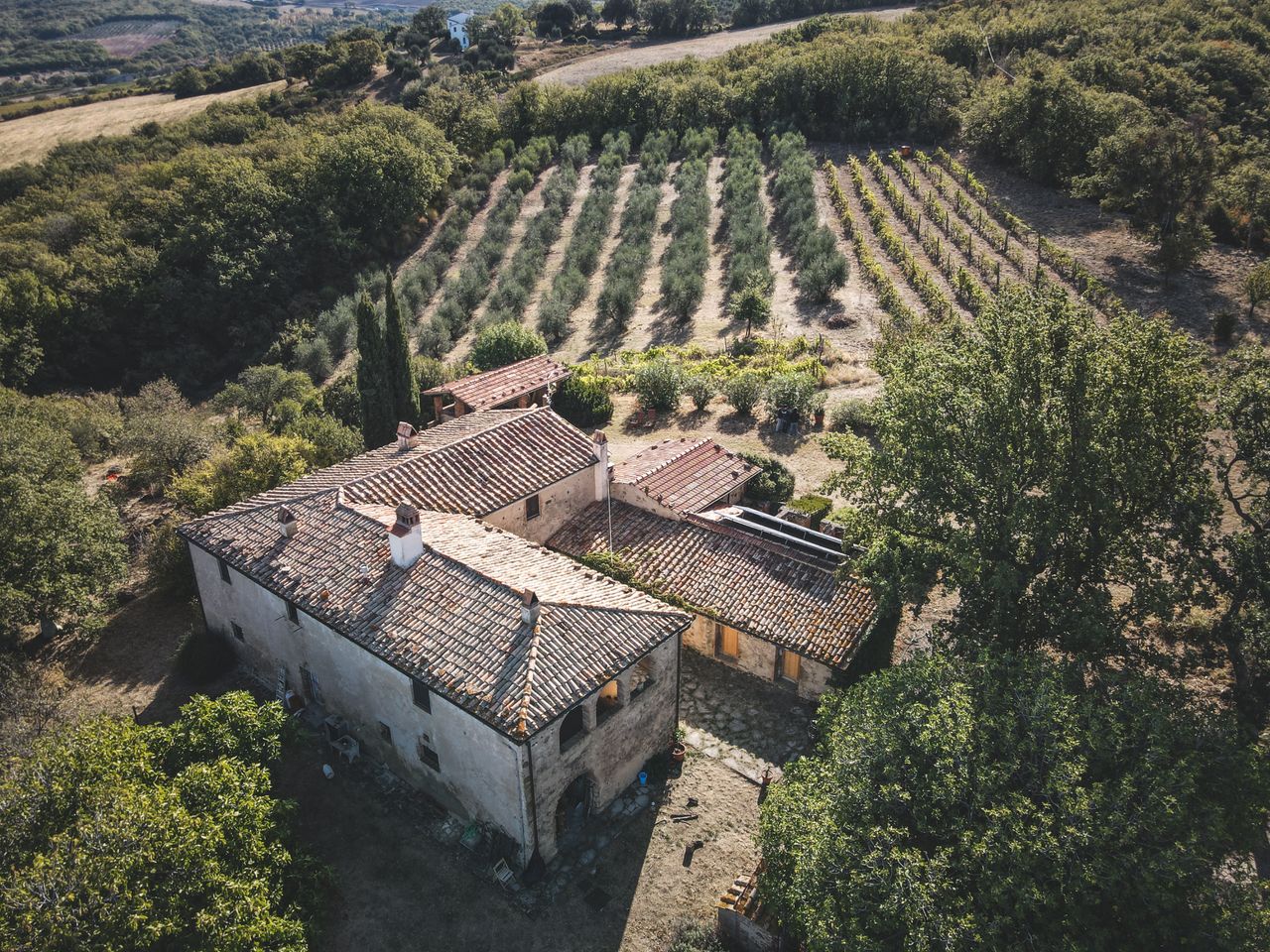 Services Charming countryside farmhouse with vineyard surrounded by lush greenery.